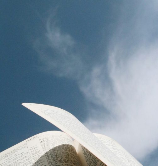 {{brizy_dc_image_alt imageSrc=